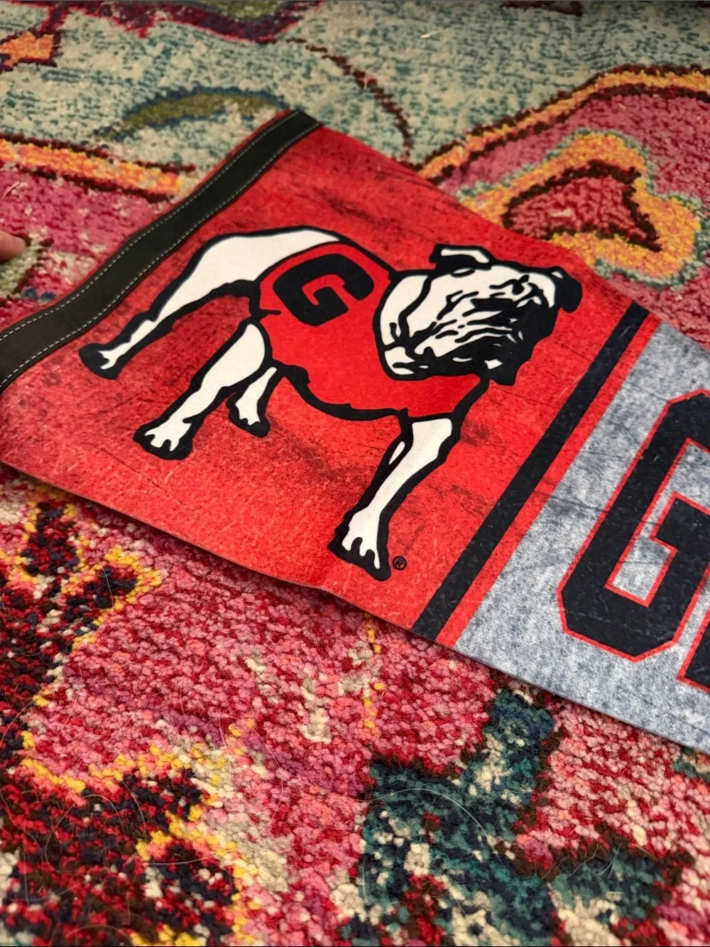 Red Georgia BullDogs College Pennant Flag